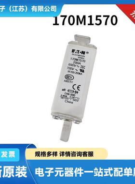 170M7189 170M7198 170M7199 170M7200原包陶瓷熔断器 熔芯