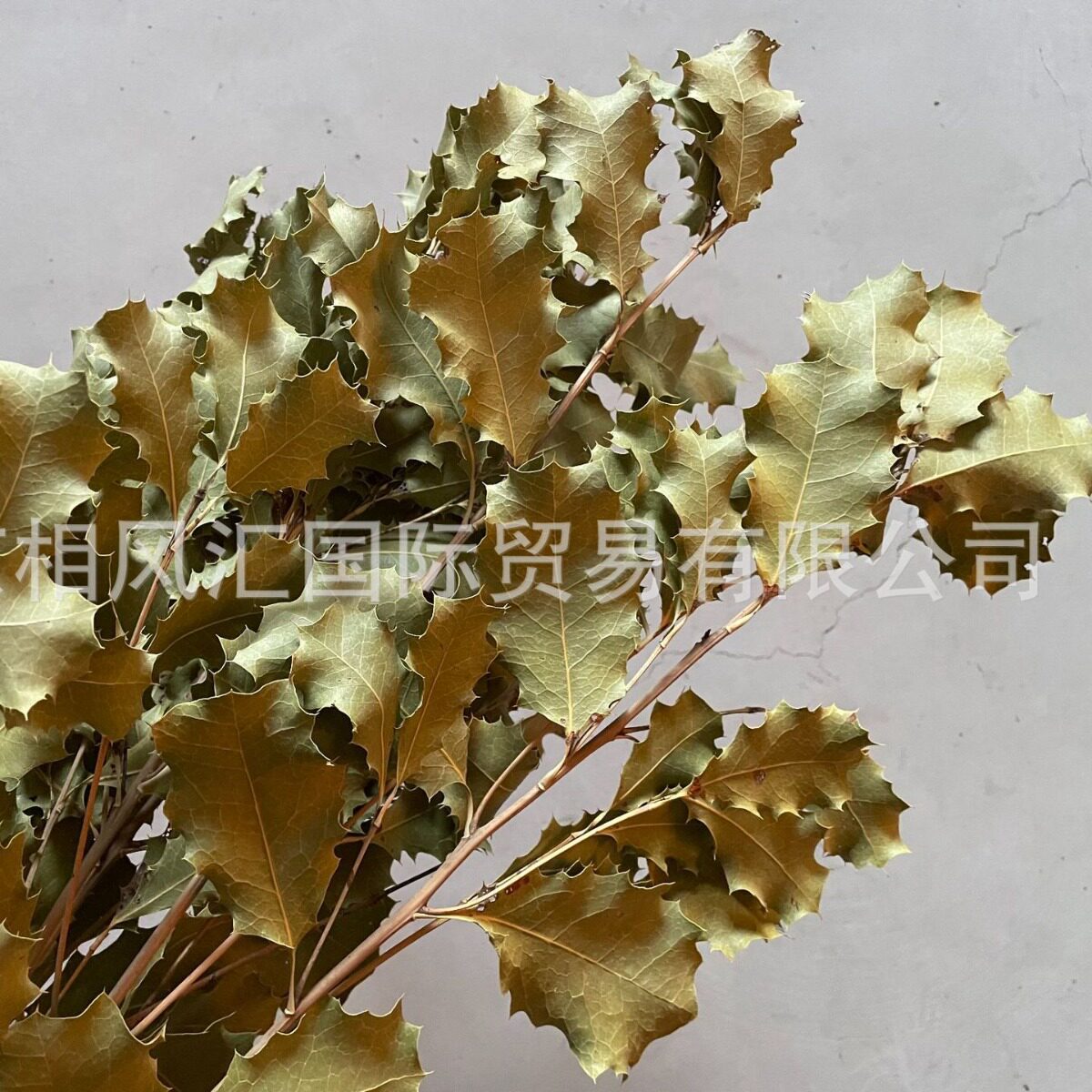 【奥克兰叶】进口干叶干花装饰插花天然植物家居摆设节日礼品