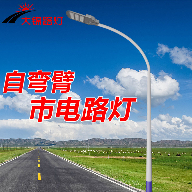 市电路灯市政公路新农村建设自弯臂6米8米10米热镀锌户外路灯杆