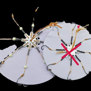 速发长子线翻板钩伊线串钩长线鲢钩钩长势尼鳙抛杆海竿夹饼爆炸钩