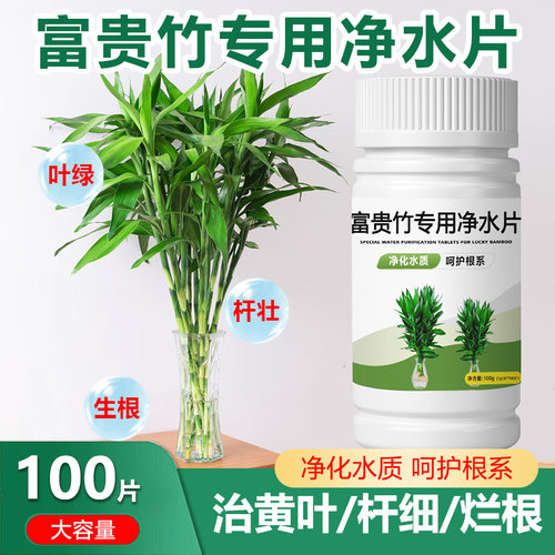 绿植水培植物净水片除臭营养剂富贵竹专用生根净化水质鲜花保鲜片