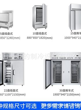 低华尔盘-45度速冻机温5冷冻冰箱急冻速风冷73106柜海鲜饺子包子
