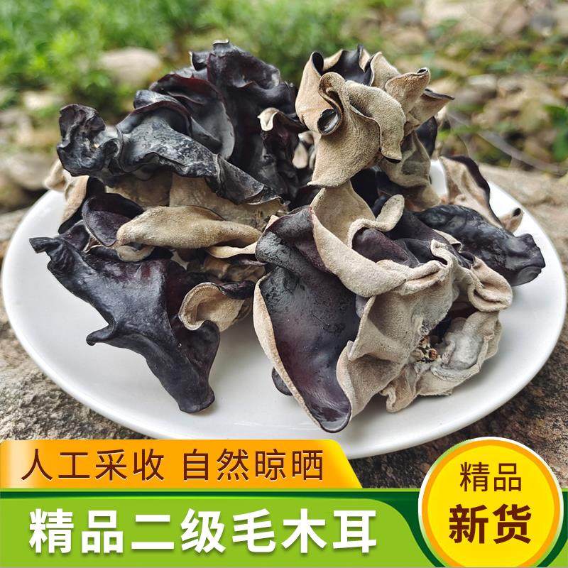 正宗毛木耳干货500g散装脆木耳白背黑木耳天然美味大地耳四川火锅