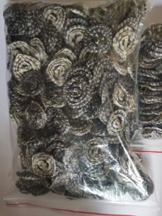 正宗特级白花蛇金钱白花蛇中药材小百花蛇一条包邮白花蛇干泡酒料