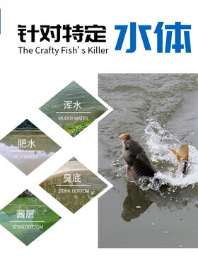 新品 洪荒之力 添加剂针对肥水A臭底特定水体王海宁刘晓春钓箱私