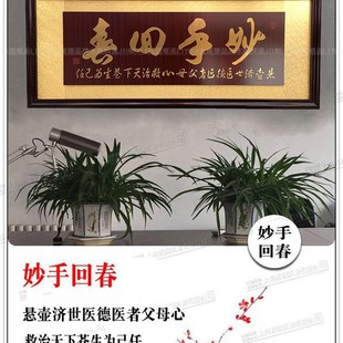 送医生的牌匾医师扁医院诊所开张开业牌匾字画匾S妙手回春门诊匾
