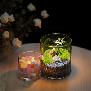 丘辰生命之树苔藓微o景观生态瓶办公室桌面绿植造景摆件植物小盆