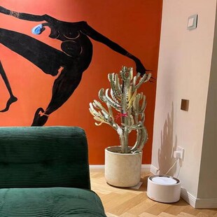 白龙骨仙b人掌大戟科多肉植物沙生盆栽量天尺仙人柱客厅绿植好养