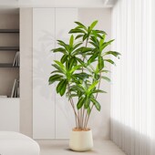 假绿植装 饰摆 饰仿高品质大型真u巴西木室内背景墙橱窗仿生植物装