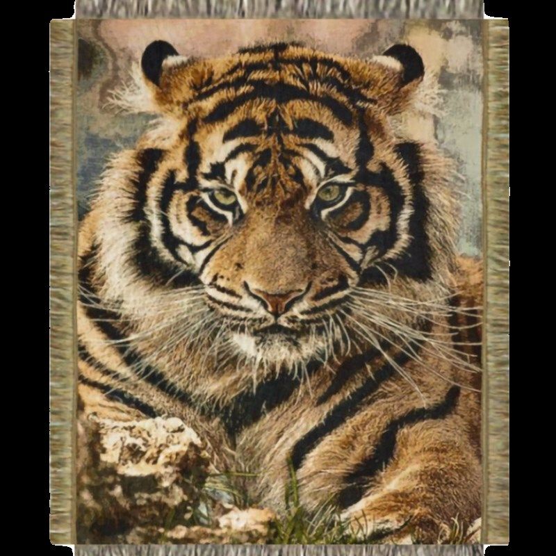 威武老虎毛毯g子露营床上盖毯沙发毯盖巾办公室午睡毯装饰休闲毯,床上用品,休闲毯/毛毯/绒毯,淘宝优惠券,粉丝福利购,淘宝优惠卷