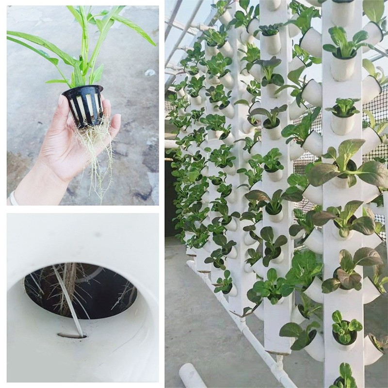 立柱无土栽培阳台种菜设备水x雾家庭有机蔬菜种植机自动水培架水