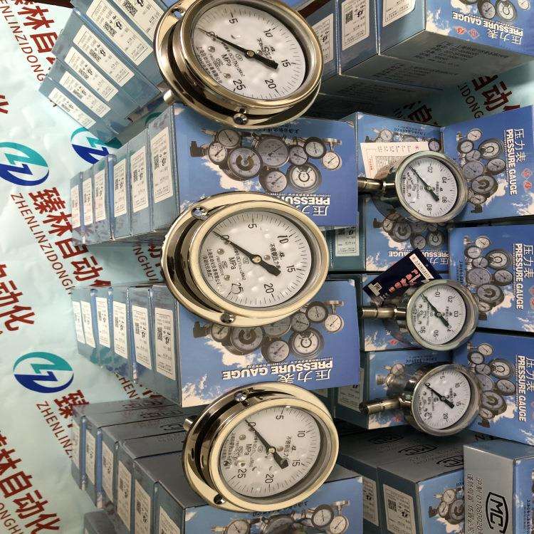 YN-150ZTYN-150ZT耐震压力表上自仪四厂X20