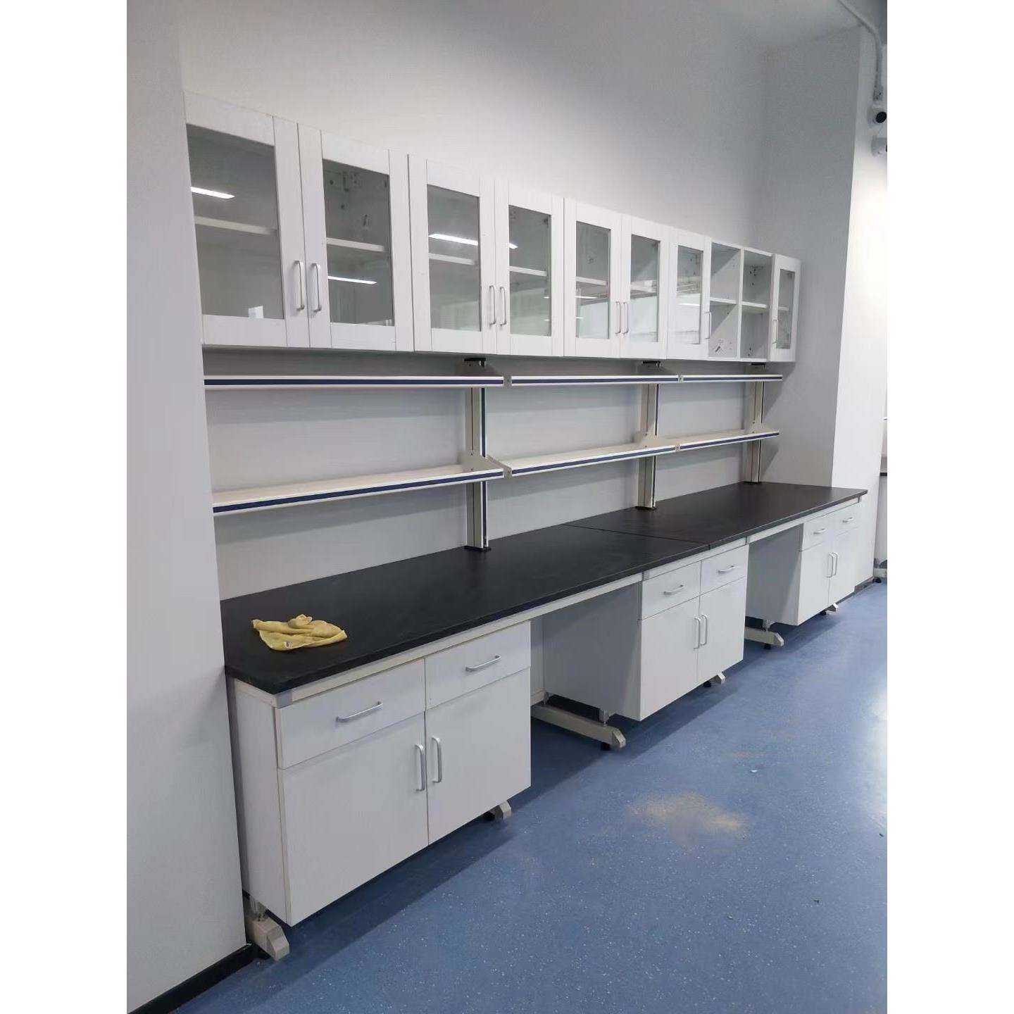 全钢吊柜实验室壁挂式储物柜全木带玻璃门柜子物理化学用品储存柜