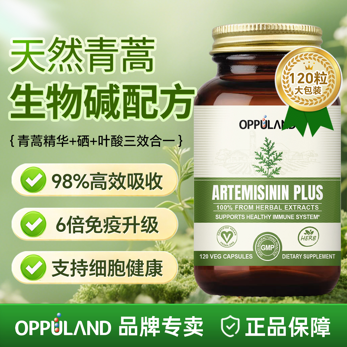 oppuland青蒿提取物琥酯粉精华
