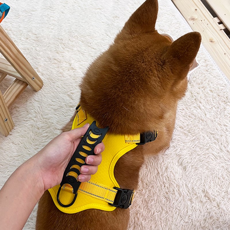 狗狗牵引绳胸背带遛狗绳子外出防挣脱柴犬中大型犬背心式狗链宠物