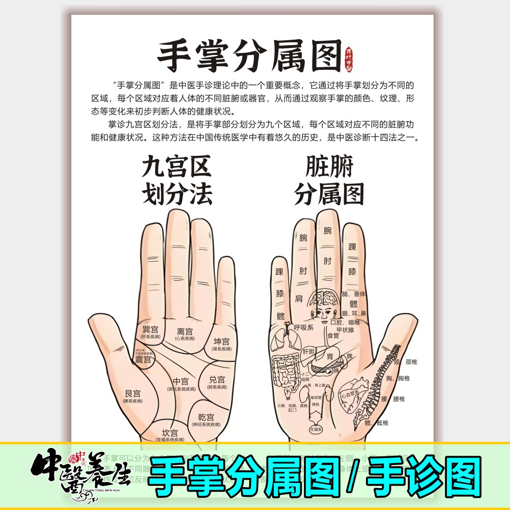 十指九宫手诊对照图鉴中