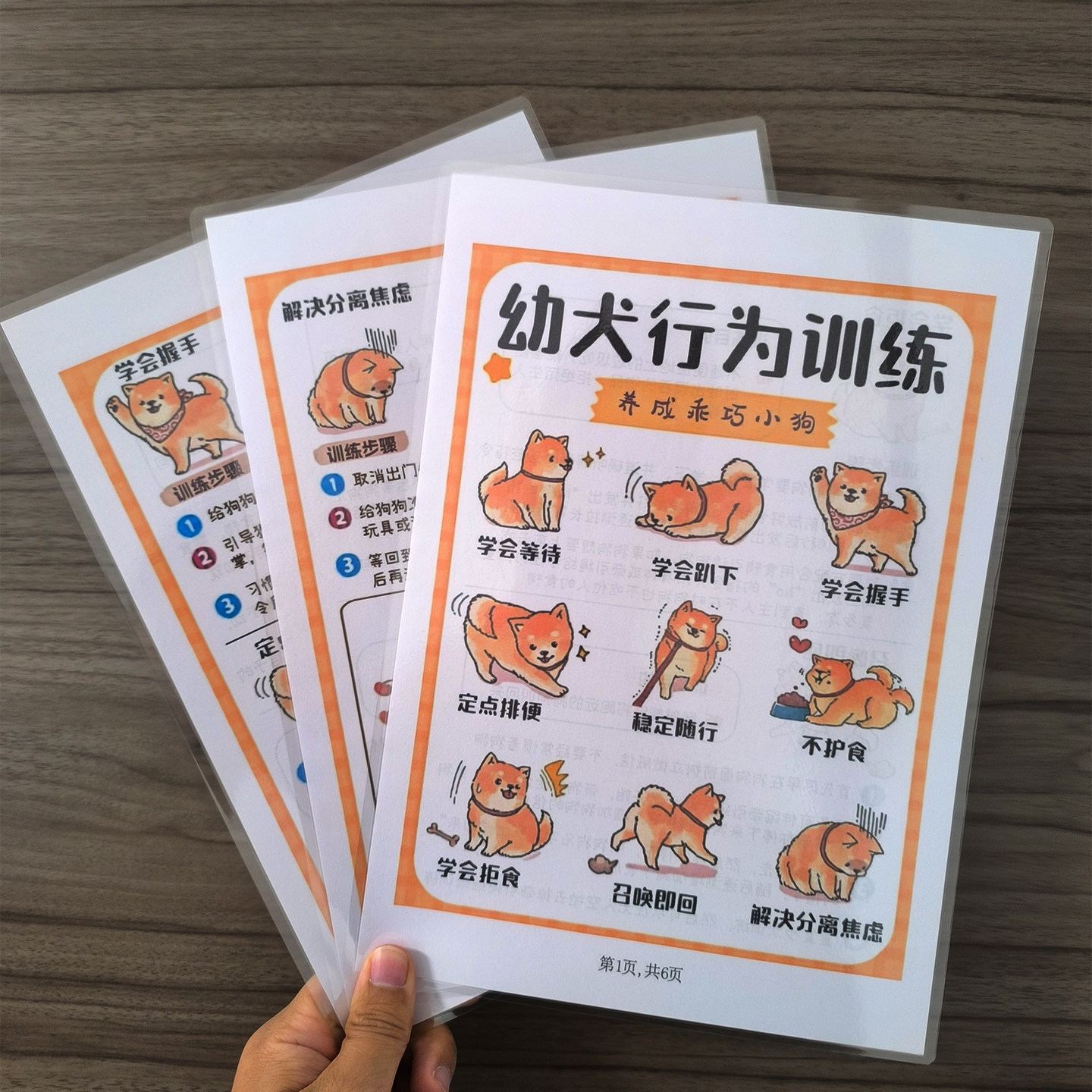 幼犬行为训练养成乖巧小
