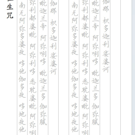 拔一切业障助生净土手抄