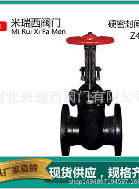 硬密封明杆闸阀法兰闸阀防护闸阀铸铁铜芯闸阀厂家供应 河北Z41T