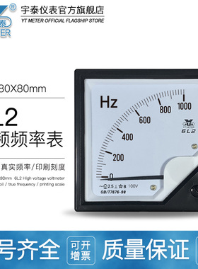 6L2中频频率表100v 1000hz 1500hz 2000hz指针赫兹表80*80mm450HZ