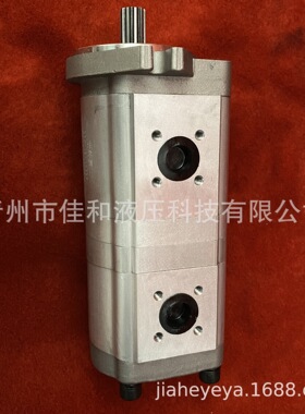 东北除雪车环卫车液压双联泵CBK1020/08B3F