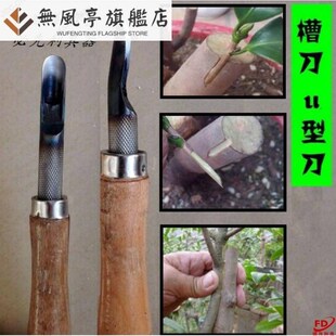 。多款槽刀u型剔芽弧形靠接半B圆型园林果树嫁接工具模具钢刀
