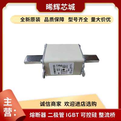 170M3811D 170M3811 巴斯曼低压快速熔断器库存充足 型号齐全现货