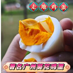 【又沙又糯】非笼养初生蛋 著名广东葵花鸡蛋散养土鸡蛋宝宝辅食