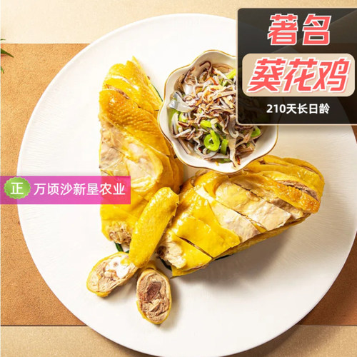 【特惠】广东名鸡南沙葵花鸡 烧鸟食材白切鸡半成品熟食不喂饲料