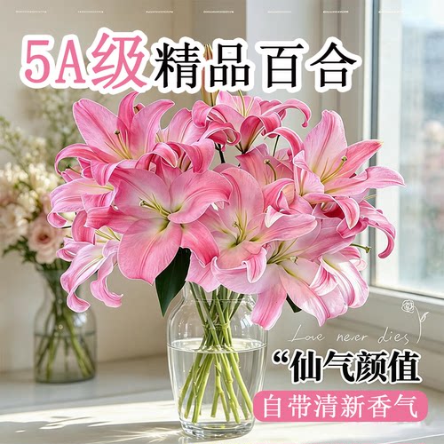 百合花鲜花云南直发粉白色