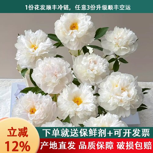 芍药a级品质顺丰冷链包邮