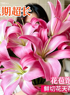精品百合鲜花云南基地粉色白色重瓣香水百合家用插花黄霸天鲜切花