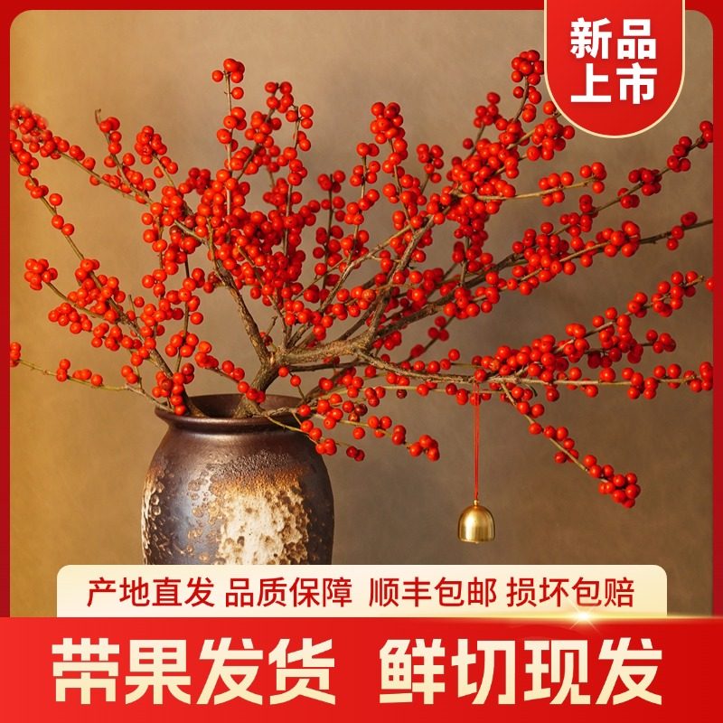 北美冬青红果鲜花切枝鲜切火棘果枝条花期长水养鲜花室内水培摆件,鲜花速递/花卉仿真/绿植园艺,花材,淘宝优惠券,粉丝福利购,淘宝优惠卷