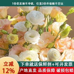 包邮 云南昆明新鲜洋桔梗鲜花基地直发a级鲜切插花 顺丰冷链