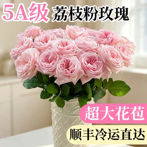 稀有粉荔枝玫瑰花情人节花束