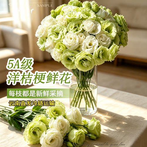 稀有洋桔梗鲜花切插花云南直发