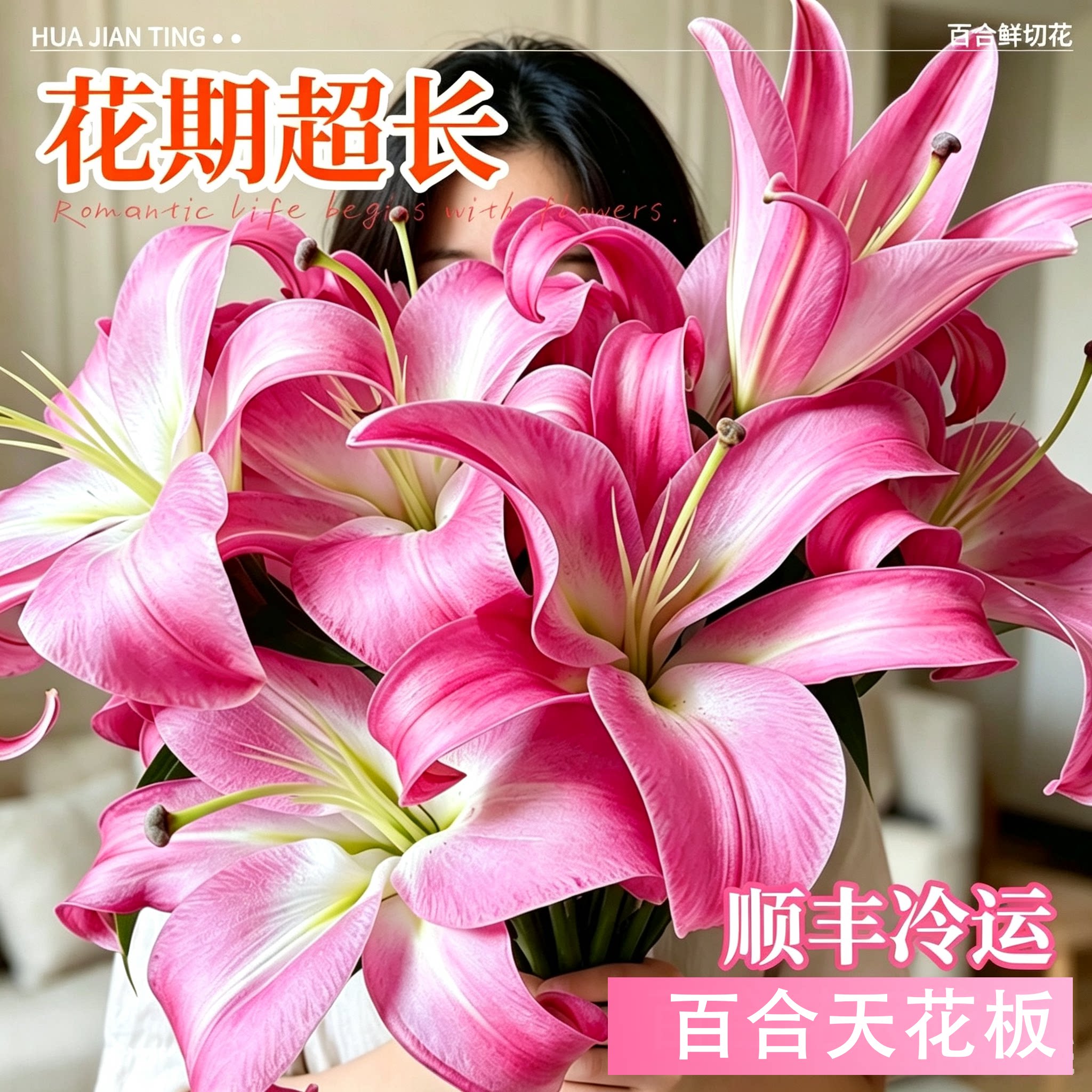 百合花鲜花云南直发粉白色重瓣香水百合家用插花黄霸天顺丰冷运