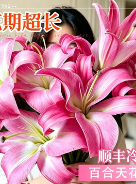 精品百合鲜花云南基地粉色白色重瓣香水百合家用插花黄霸天鲜切花
