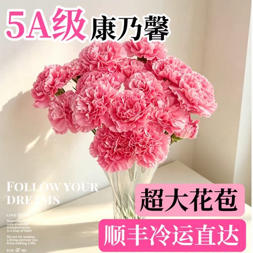 稀有康乃馨鲜花云南直发教师节