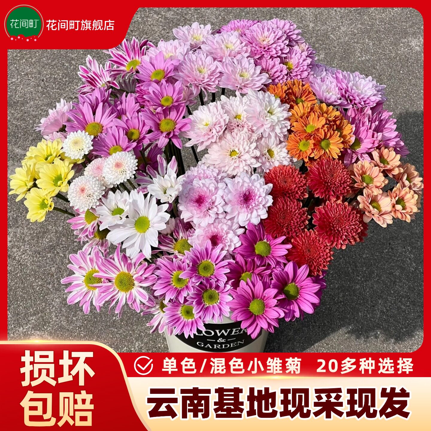 混色小雏菊鲜花云南基地直发新鲜三文鱼小菊花束水养插花鲜切花卉,鲜花速递/花卉仿真/绿植园艺,花材,淘宝优惠券,粉丝福利购,淘宝优惠卷