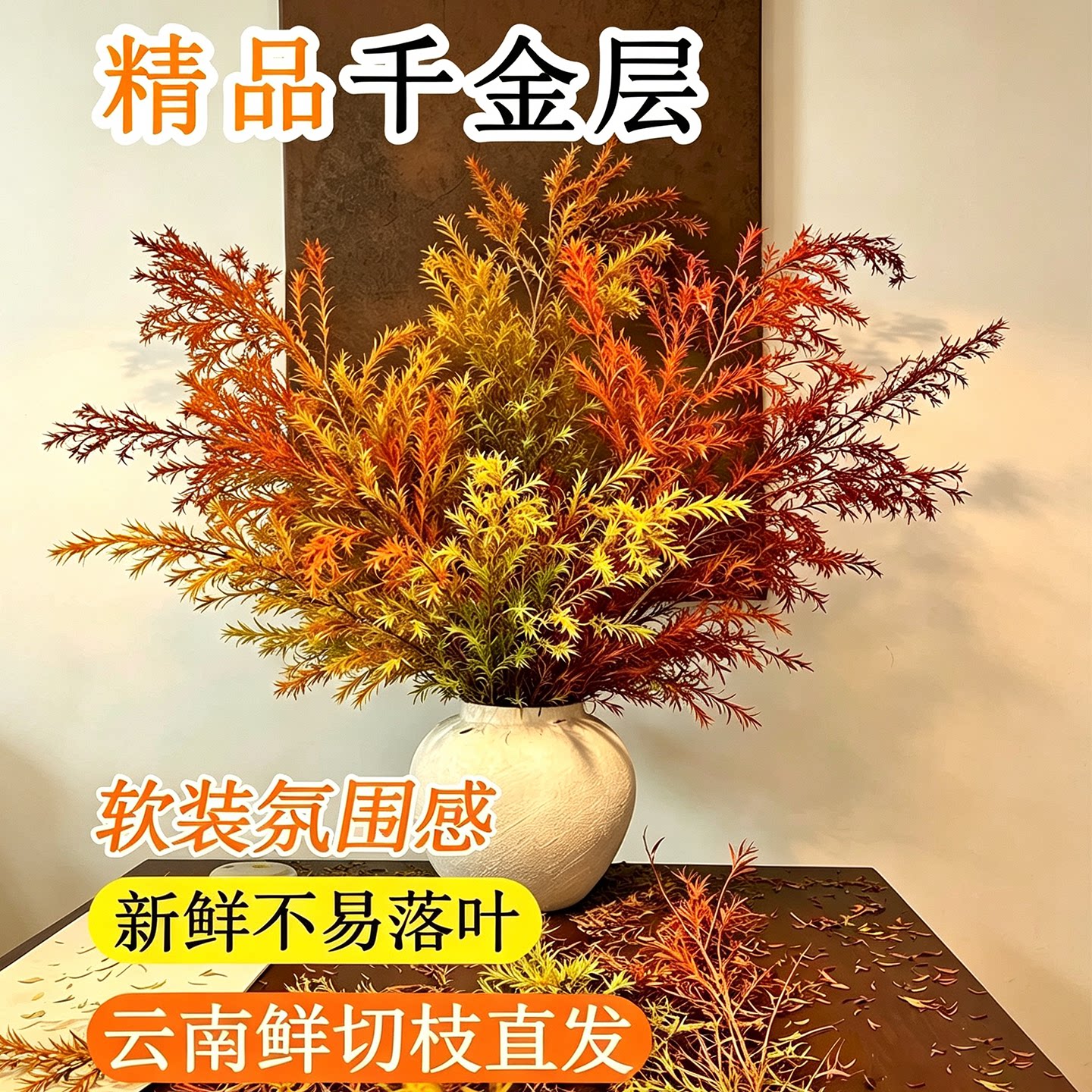千层金鲜花云南直发植物黄金香柳