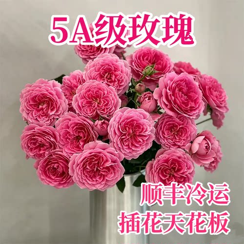 稀有玫瑰鲜切花云南直发同城配送