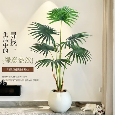 速发蒲葵绿植高端轻饰装奢摆件室内大型高级仿生盆物植栽落地花树