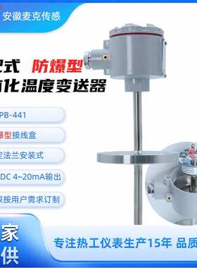 机电一体化本安防爆铂电阻 一体化温度传感器 WZPB-441  4~20mA