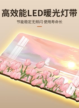 奶油风客厅装饰画led氛围灯画沙发背景墙挂画郁金香卧室床头壁画