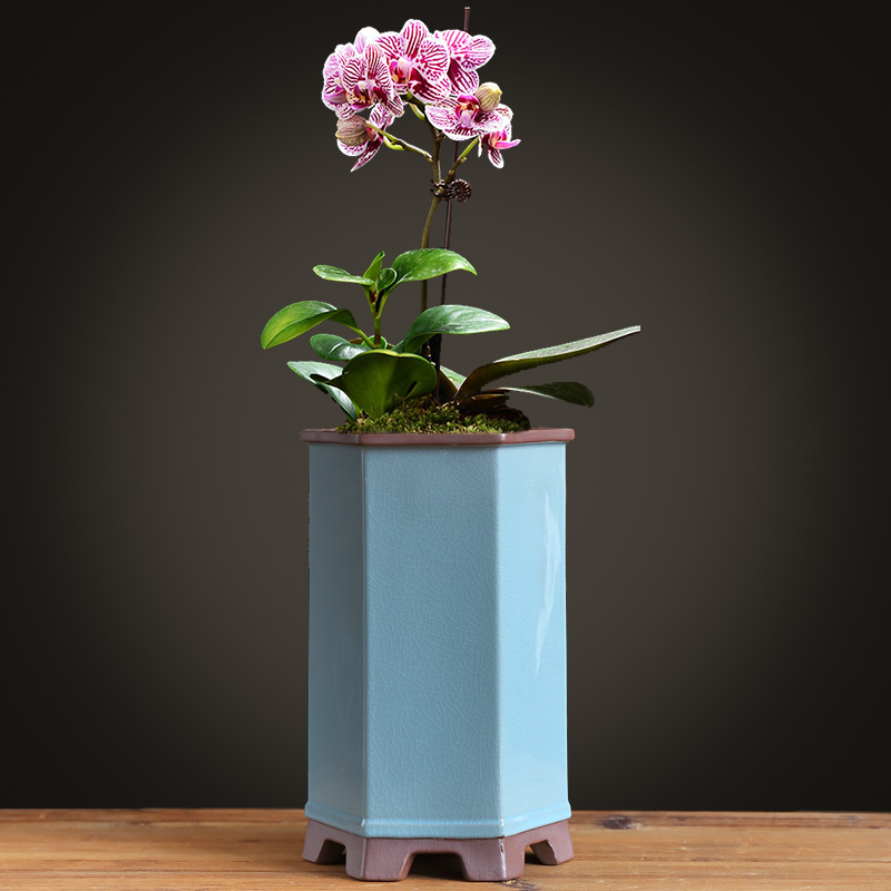 哥窑紫砂花盆陶瓷兰花吊兰盆景盆栽创意大号蝴蝶兰家用中国风多肉