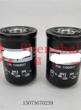 9700810   11004917 A165029 6630977 RE69054液压滤芯11004919