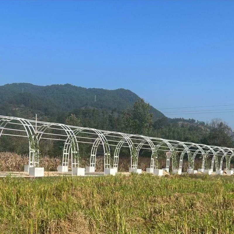 圆形桁架弧形桁架圆弧桁架拱门半圆弧形架子活动拱门走廊铁艺拱门