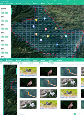 森林生态系统生物多样性监控平台建设 生物类群多样性监管云平台