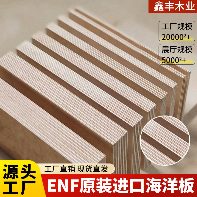 全桦木进口海洋板胶合木板整板环保防潮多种规格水煮不脱胶实木